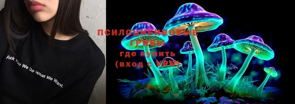 герыч Магас