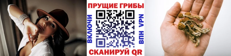 kraken рабочий сайт  Семикаракорск  Псилоцибиновые грибы мицелий 